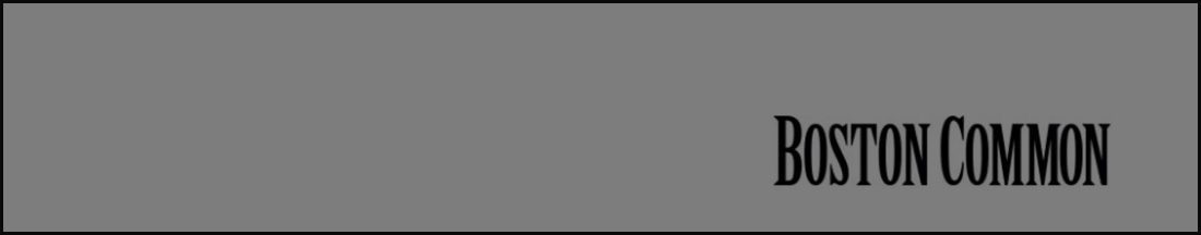 Boston Common Parties publication banner